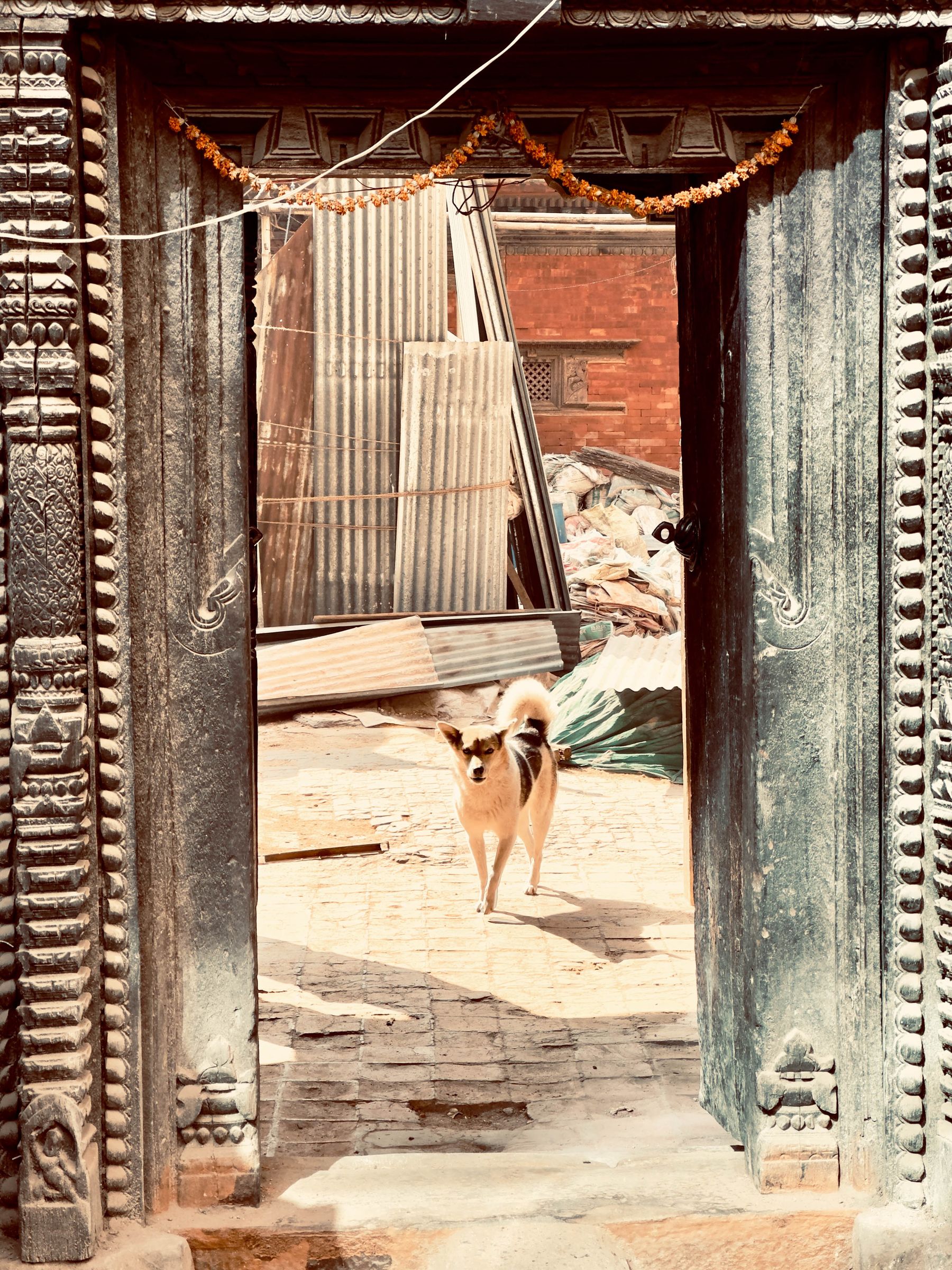 Nepal Doorway #17